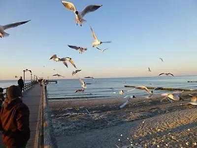 Appartement Hafenstr_ 28 3 Zingst